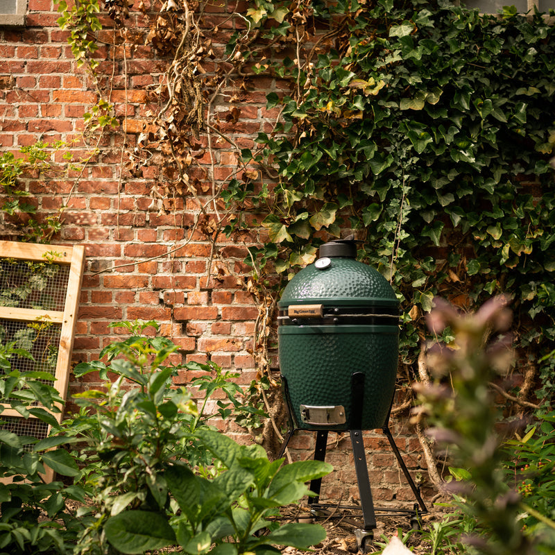 Small Big Green Egg by brick wall