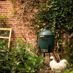 webversion biggreeneggsmall lifestyleimage